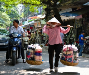 Hanoi street vendor
